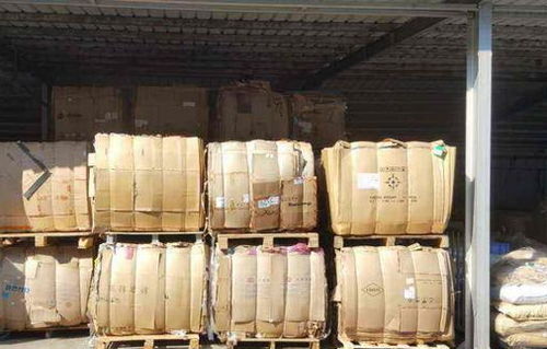 纸伙计废品回收 家里的废品这样处理遭众人嘲笑，上前一看收入后瞬间吓到腿软